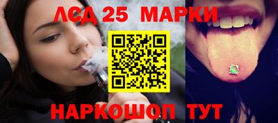 прущие грибы Кандалакша