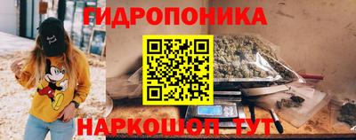прущие грибы Кандалакша
