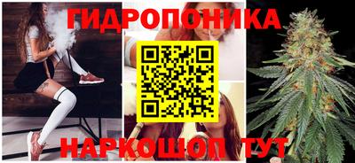 прущие грибы Кандалакша
